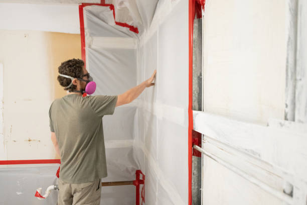 Best Mold Odor Removal Services  in Brooksi, DE