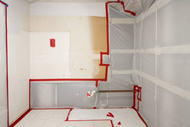 Best Mold Removal for HVAC Installations  in Brooksi, DE