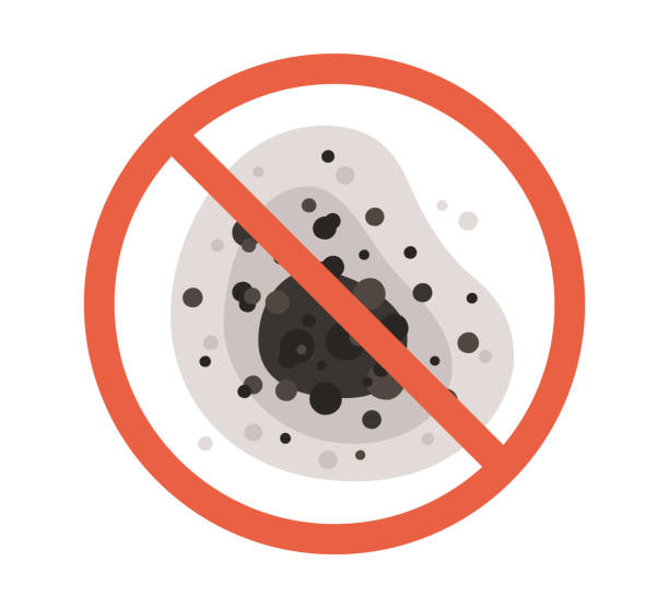 Brookside, DE Mold Removal Company
