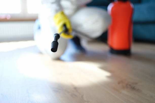 Best Black Mold Removal  in Brooksi, DE
