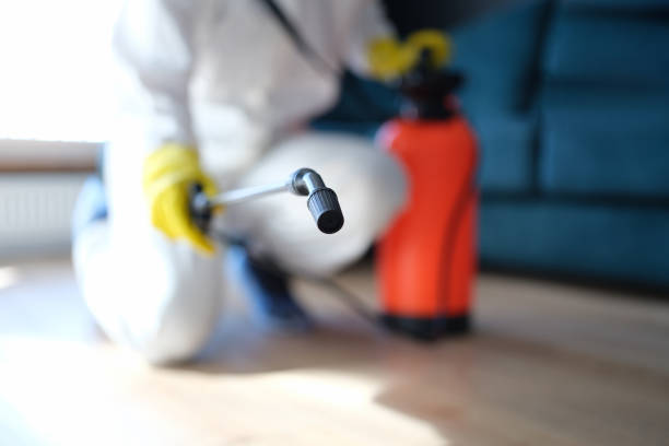 Mold Documentation for Insurance Claims in Brookside, DE