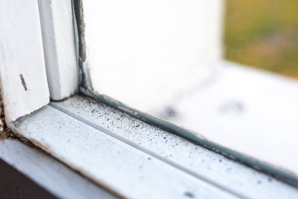 Best Biohazard Mold Removal  in Brooksi, DE