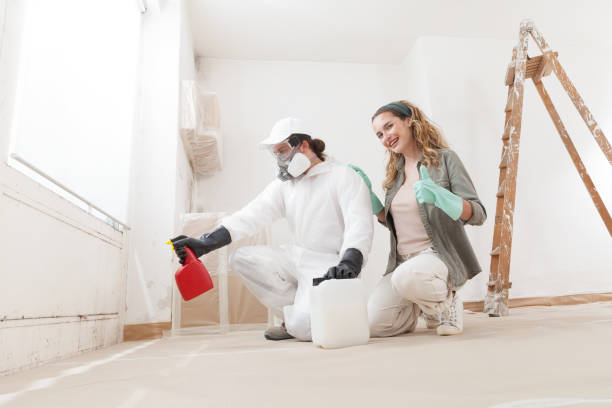 Best Industrial Mold Remediation  in Brooksi, DE