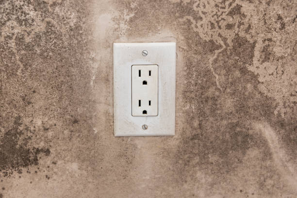 Best Real Estate Mold Inspection  in Brooksi, DE