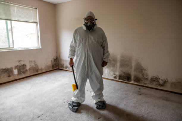 Best Mold Prevention Services  in Brooksi, DE